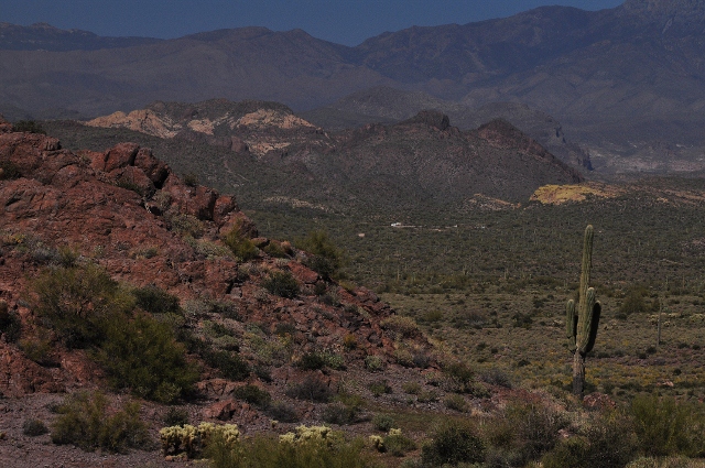 view along the trail
